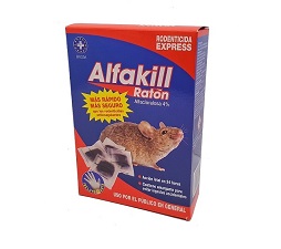 Ejemplo estuche de cartón Nº 49